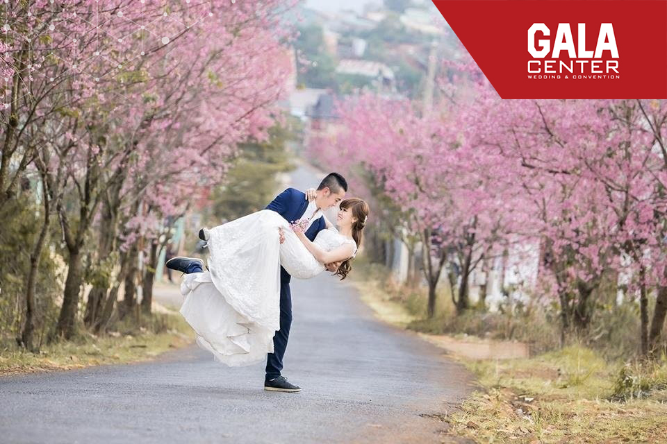 Chụp ảnh cưới trên con đường nở rộ hoa anh đào ở Đà Lạt